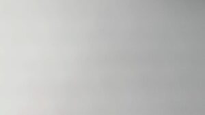 cropped-IMG_8017.jpeg ビジネス(テスト)